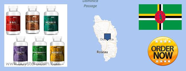 Πού να αγοράσετε Steroids σε απευθείας σύνδεση Dominica
